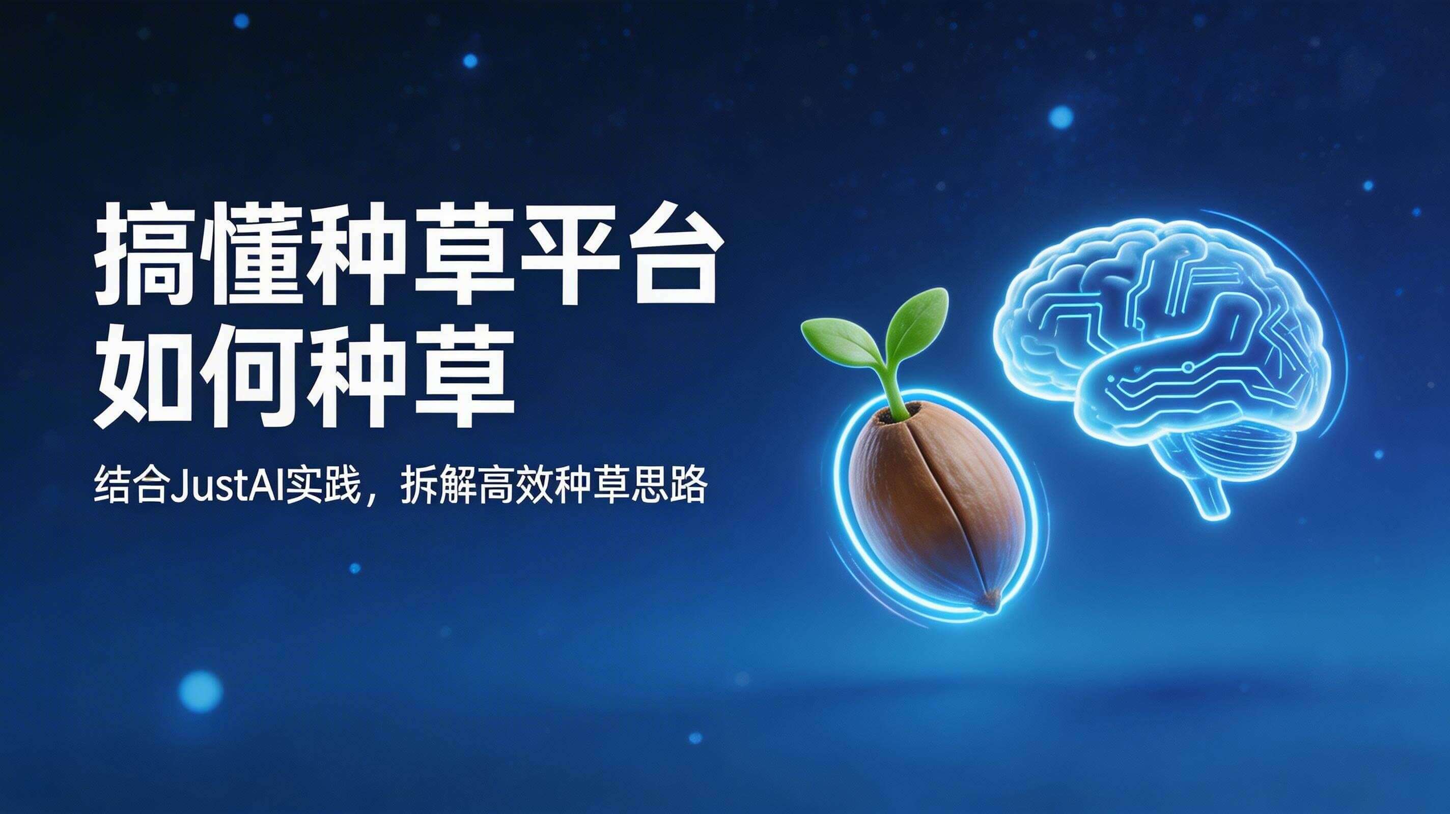 搞懂种草平台如何种草